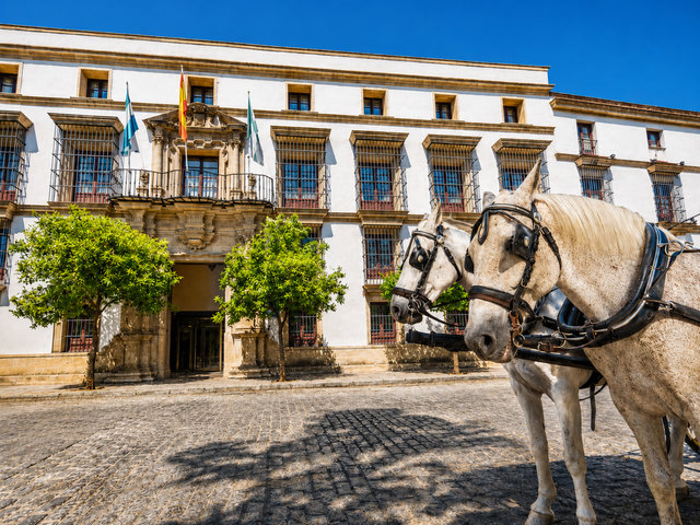Rh Jerez Centro